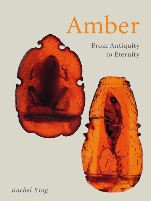 Title details for Amber by Rachel King - Available